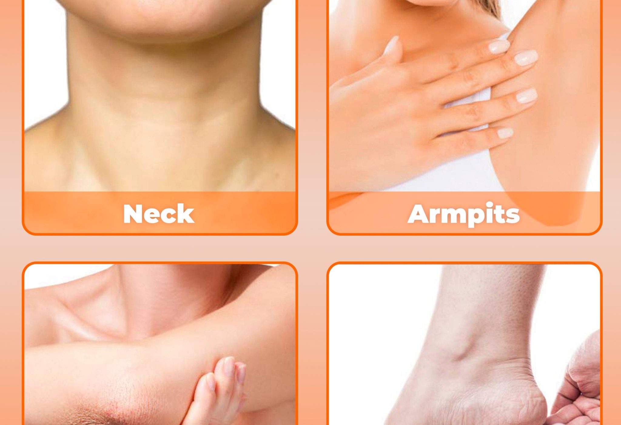 3_fcf240ee-182d-42ed-bcb1-3dd2ea64a498