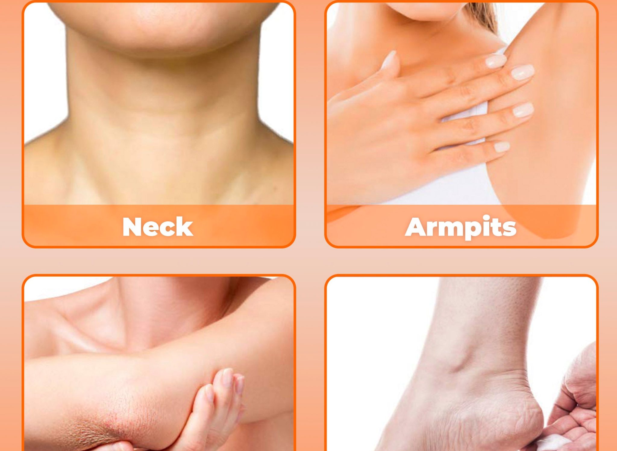 3_fcf240ee-182d-42ed-bcb1-3dd2ea64a498